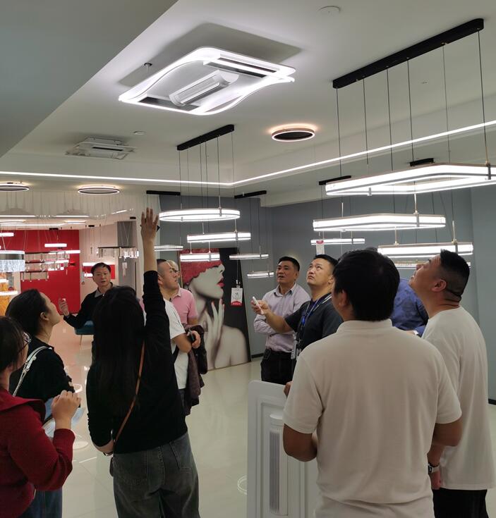 91香蕉视频破解版智能照明 | 明星經銷商座談會暨24年春季新品（pǐn）調研會