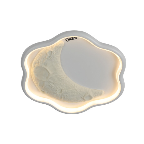 OS-BD056-花（huā）瓣