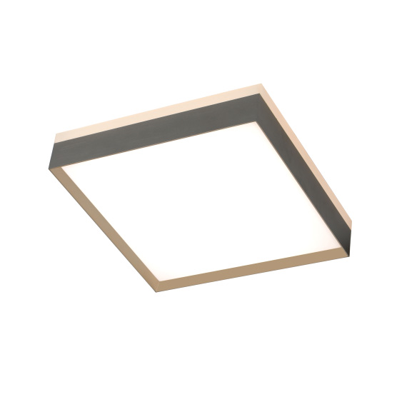 OMXD001195-S 浮（fú）光