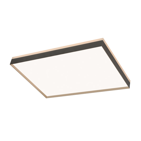 OMXD001195-XL 浮光（guāng）